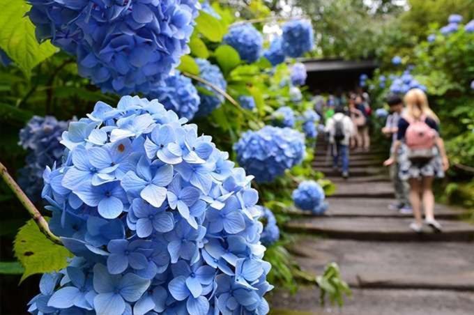 Guest House 鎌倉記憶 Kamakura Exteriér fotografie